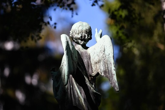 What to Do When a Loved One Passes Away in Melbourne